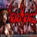 Vehemence (USA) : Metal Blade Demos